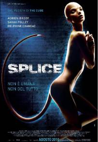 Splice