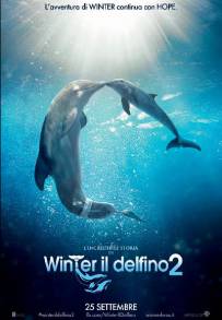 L'incredibile storia di Winter il delfino 2