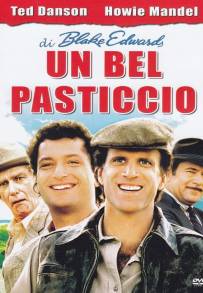 Un bel pasticcio!