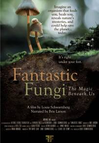 Funghi fantastici