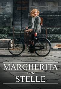 Margherita delle stelle