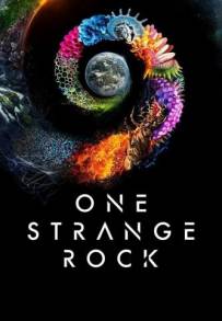 One Strange Rock