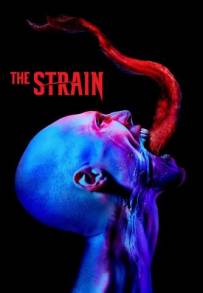 The Strain